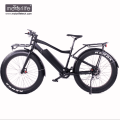 Bicicleta eléctrica Electro bike 8fun motor, 48V550W Venta caliente ebike